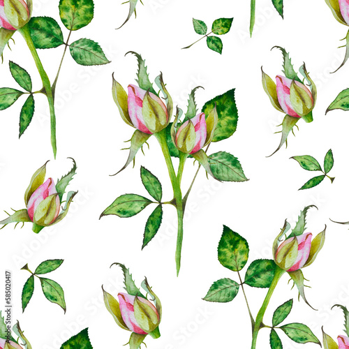 Roses. Watercolor pattern of bright pink roses. Botanic Illustration flowers.