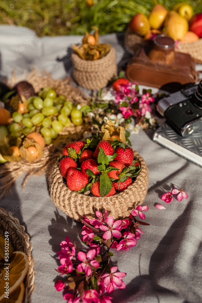 Summer picnic in nature with strawberry fruits and berries on the tablecloth with pink apple blossoms