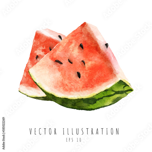 Two slices of watermelon watercolor painting isolated on white background