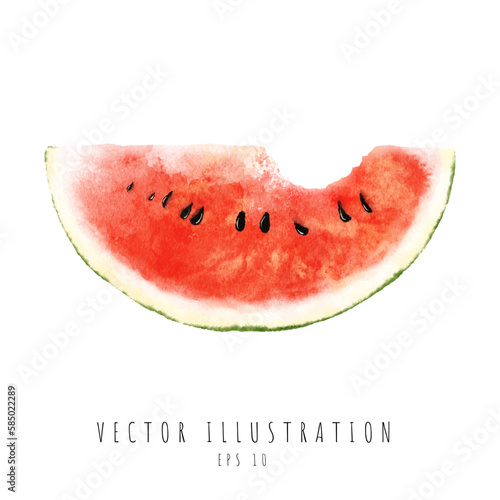 Watermelon slice with a bite taken out watercolor painting