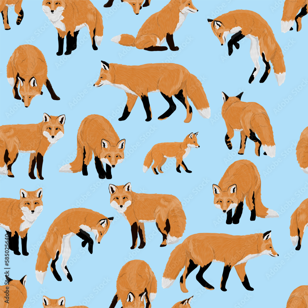 Obraz premium Seamless pattern with red foxes Vulpes vulpes. Common foxes and their cubs walk, sit, stand and hunt. Realistic vector carnivorous animal