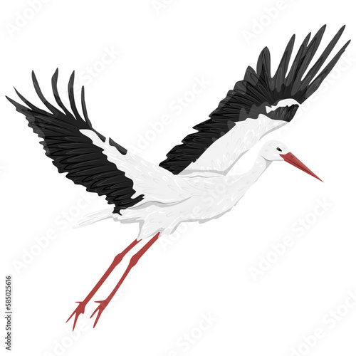 The white stork is flying. Realistic vector bird
