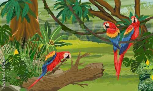 Three scarlet macaw parrots sit on the branches of a tropical plant in the jungle. South America and Africa. Realistic vector landscape