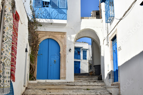 Sidi Bou Said Alley with White Walls and Blue Doors and Windows, Tunis © Globepouncing
