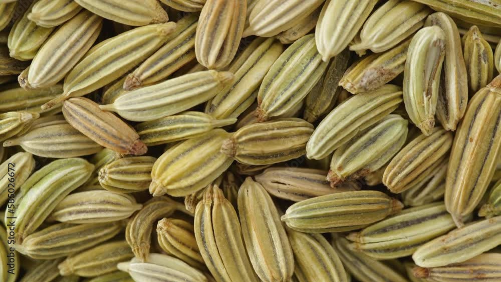 Dry fennel seed rotating macro close up. Dry fennel seed rotating macro close up.