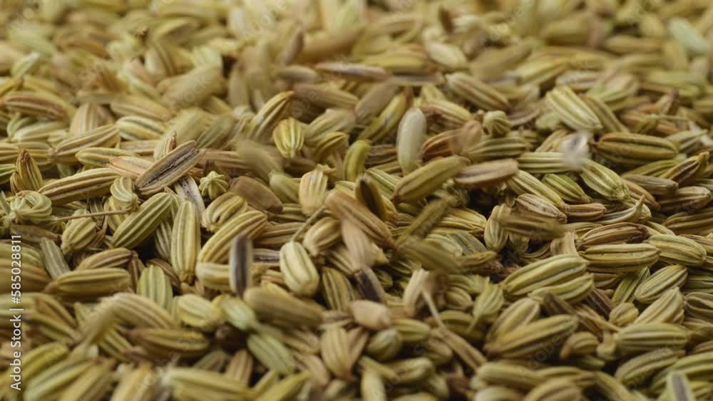 Dry fennel seed rotating macro close up. Dry fennel seed rotating macro close up.