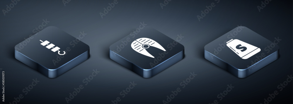 Set Isometric Grilled shish kebab on skewer stick, Salt and Fish steak icon. Vector Set Isometric Grilled shish kebab on skewer stick, Salt and Fish steak icon. Vector