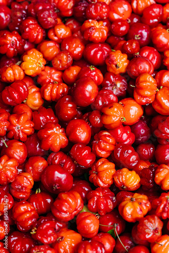 Pitanga exotic fruits (Surinamese cherry). photo