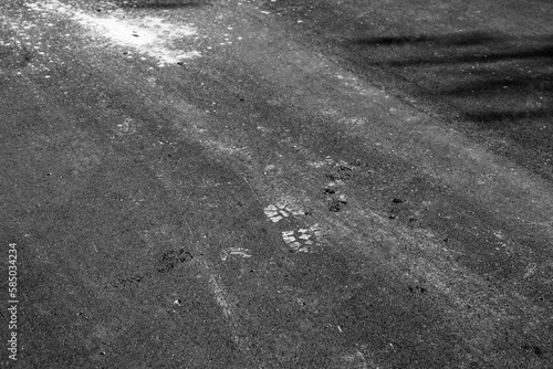 Footprint is on an asphalt road near white paint splash