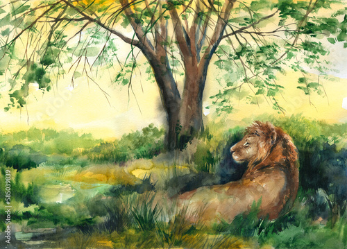 Watercolor hand drawn print  poster  picture on the theme of nature  Africa  wild animals  lion to create a mood  decor  postcards  interior  safari.