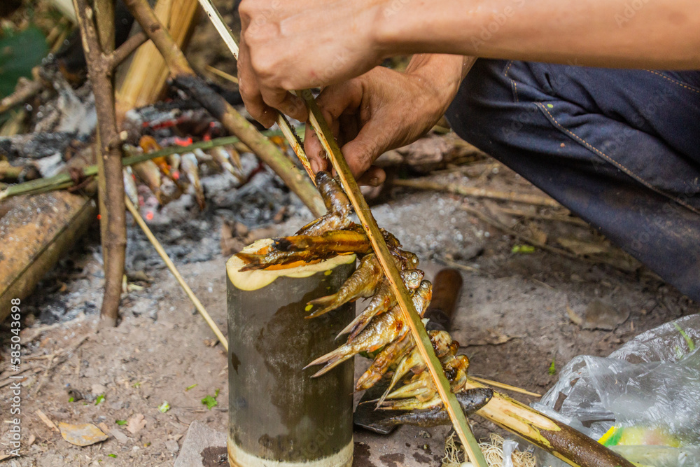 Obraz premium Small grilled fish being prepared in the forest near Luang Namtha, Laos