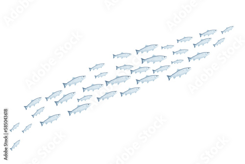 School of fish, group of many trouts swim in water od sea or ocean, blue fish shoal