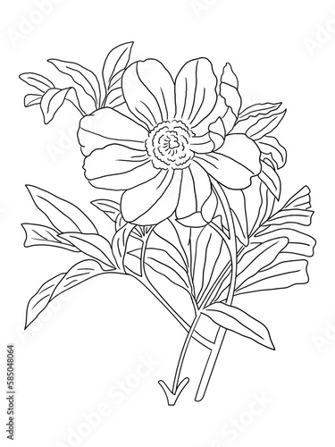 This intricate flower illustration is perfect for coloring enthusiasts of all ages. It features a variety of petals and leaves, ready to be brought to life with your favorite coloring tools.