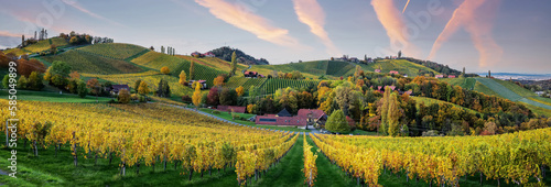 Wonderful nature landscape during sunset. Sunny autumn scenery of Austria countryside. Vineyard in autumn harvest season full of blue grapevines. Gamlitz popular travell destination, Austria. Europe