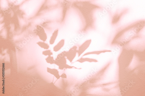 Leaf shadow and light on wall pink pastel background. Nature tropical leaves shadows tree branch and plant shade with sunlight sunshine on wall for wallpaper, shadow overlay effect foliage mockup