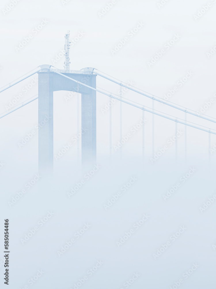 Fototapeta premium Cable-Stayed Bridge in Foggy Awe.