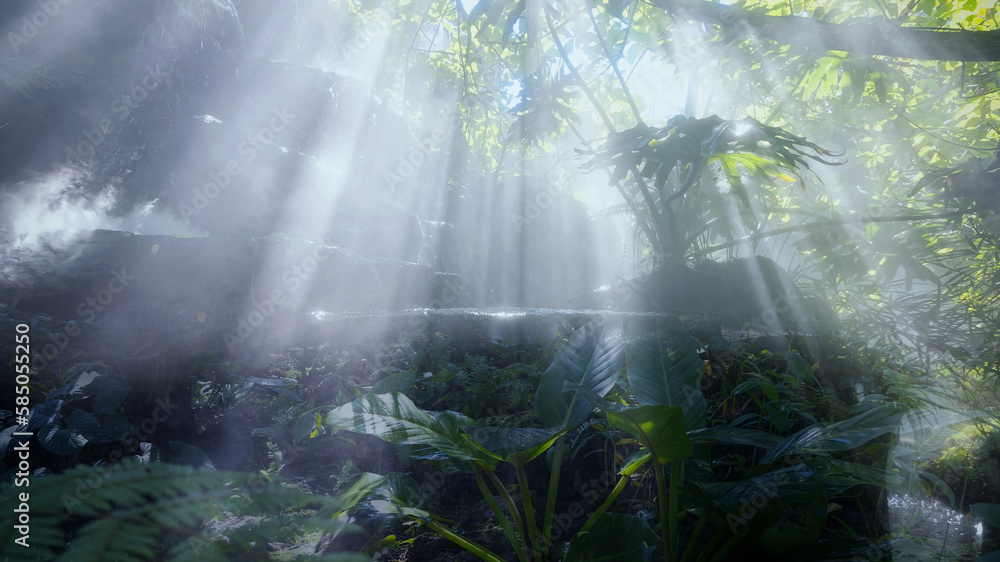 Φωτογραφία The Tropical jungle with river and sun beam and foggy in the garden