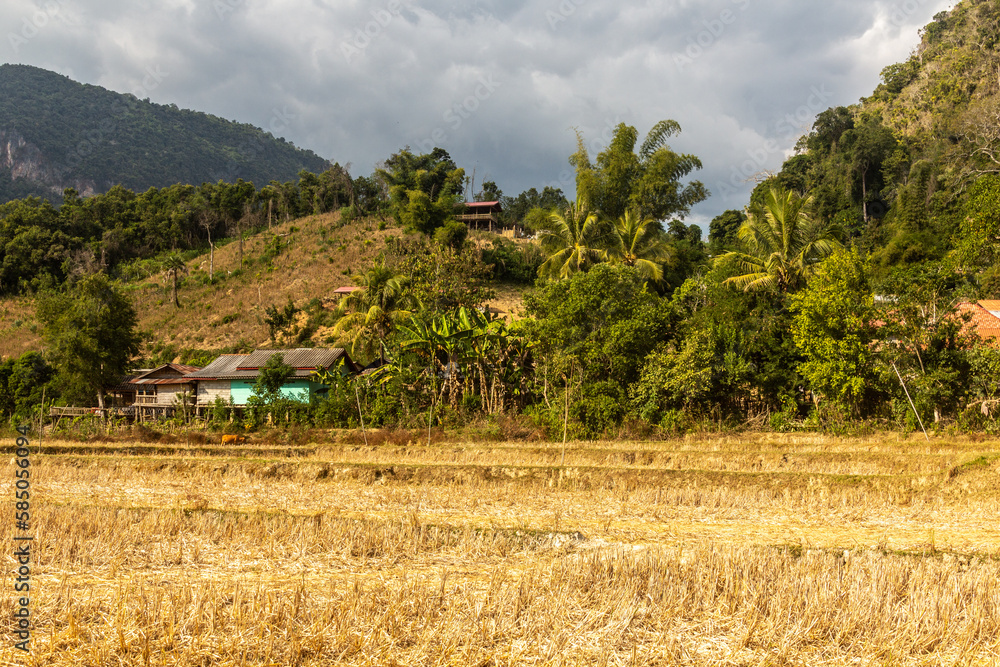 Landscape near Muang Ngoi Neua village, Laos.