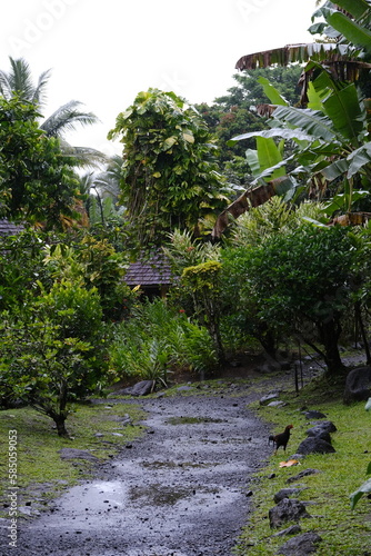 The Tahitian nature at Vaipahi public garden.