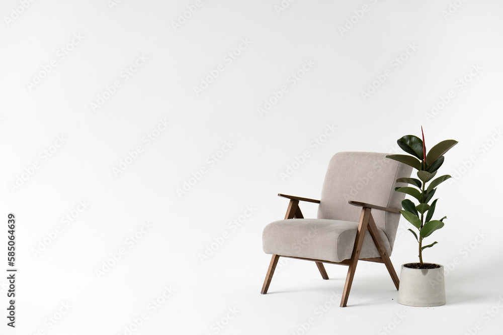 Fototapeta premium modern interior with comfortable armchair and plant on white background.