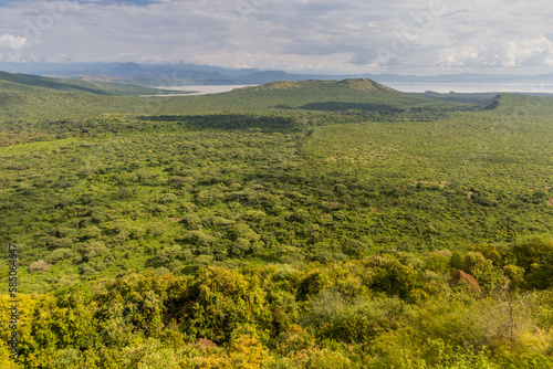 Aerial view of Nechisar National Park with Chamo lake, Ethiopia photo