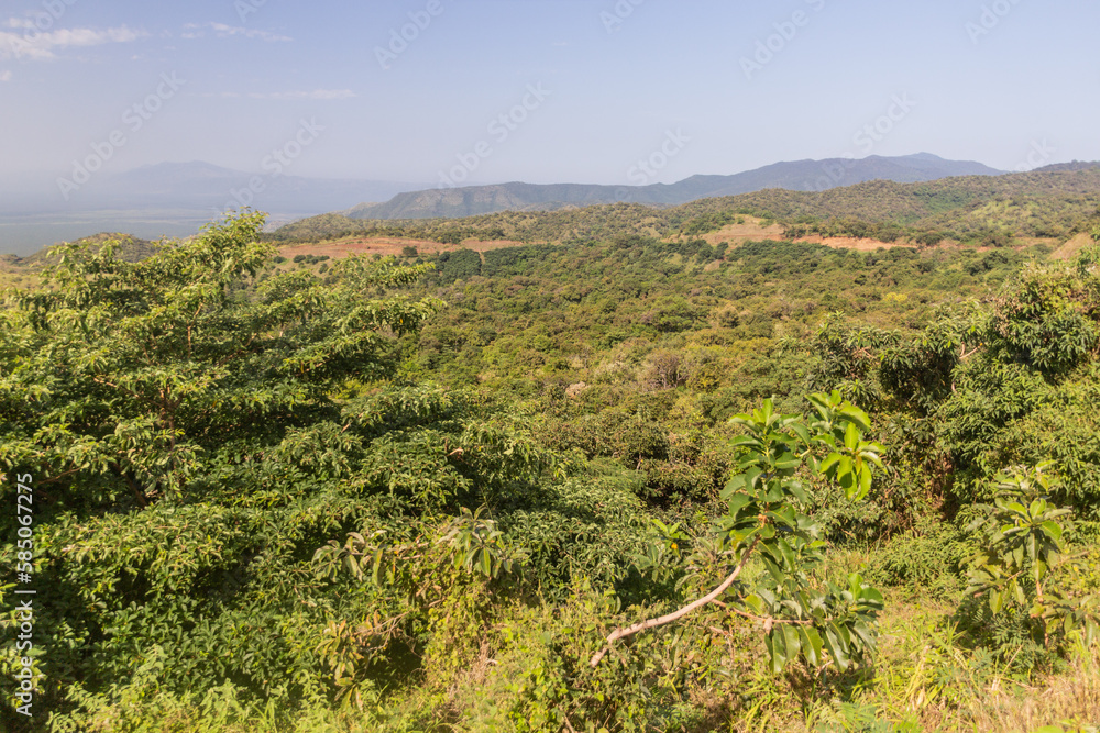 Landscape of Mago National Park, Ethiopia Landscape of Mago National Park, Ethiopia