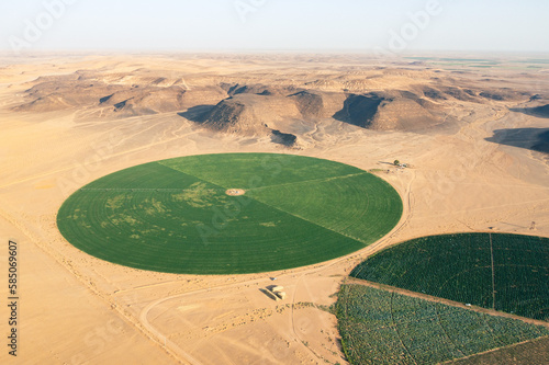 Irrigation systems create green circular fields in the dry Arabian desert