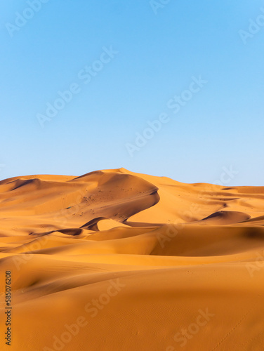 Stunning sand dunes near Merzouga  Morocco during sunset - Portrait shot 6
