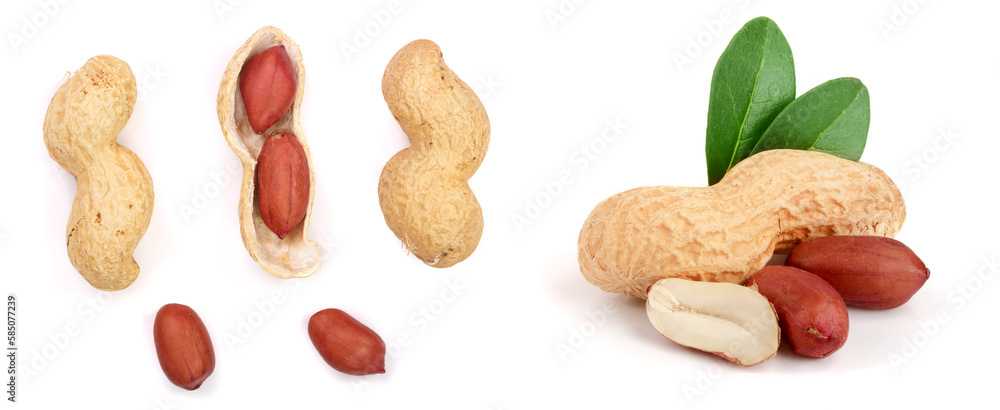 Peanuts. Nuts in shell and peeled isolated on white background. Collection or set. Full depth of field Peanuts. Nuts in shell and peeled isolated on white background. Collection or set. Full depth of field