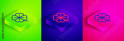 Isometric line Four leaf clover icon isolated on green, blue and pink background. Happy Saint Patrick day. Square button. Vector