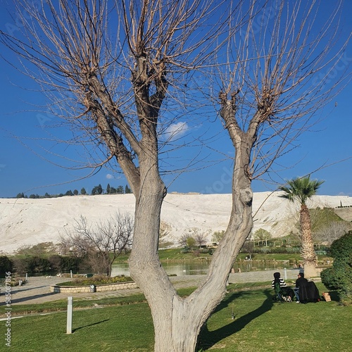 white travertine and wood Pamukkale turkey