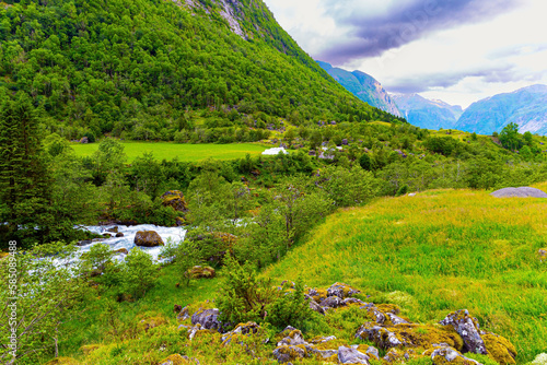 Emerald green of summer grass