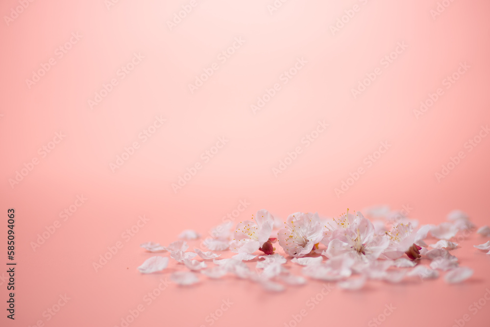 Obraz premium ピンクの背景と桜の花