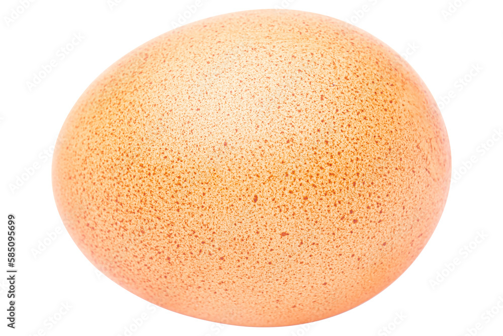 Cutout single brown egg . Cutout single brown egg .
