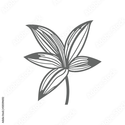 Lily flowers coloring books Make Line art, hand-drawn illustrations.Perfect for creating coloring pages, coloring books, enchanting holiday invitations, and other creative projects.