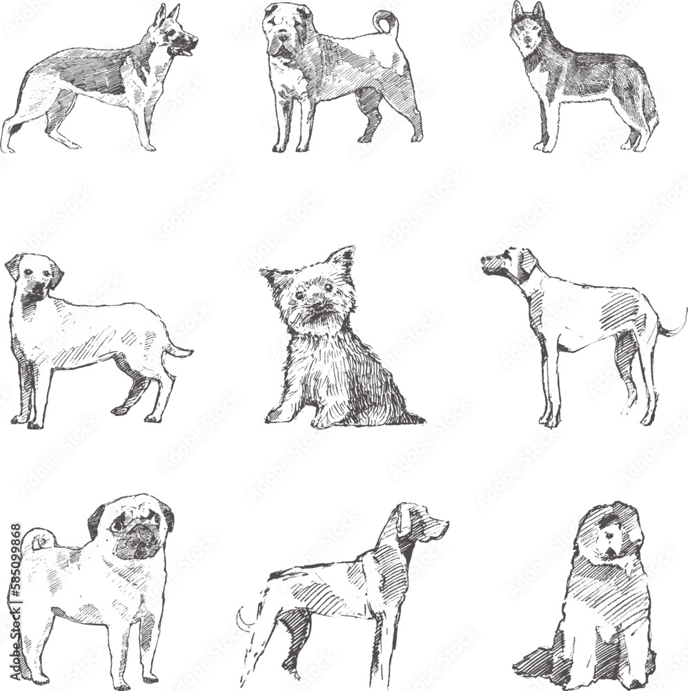 Fototapeta premium dog art vector design free download 