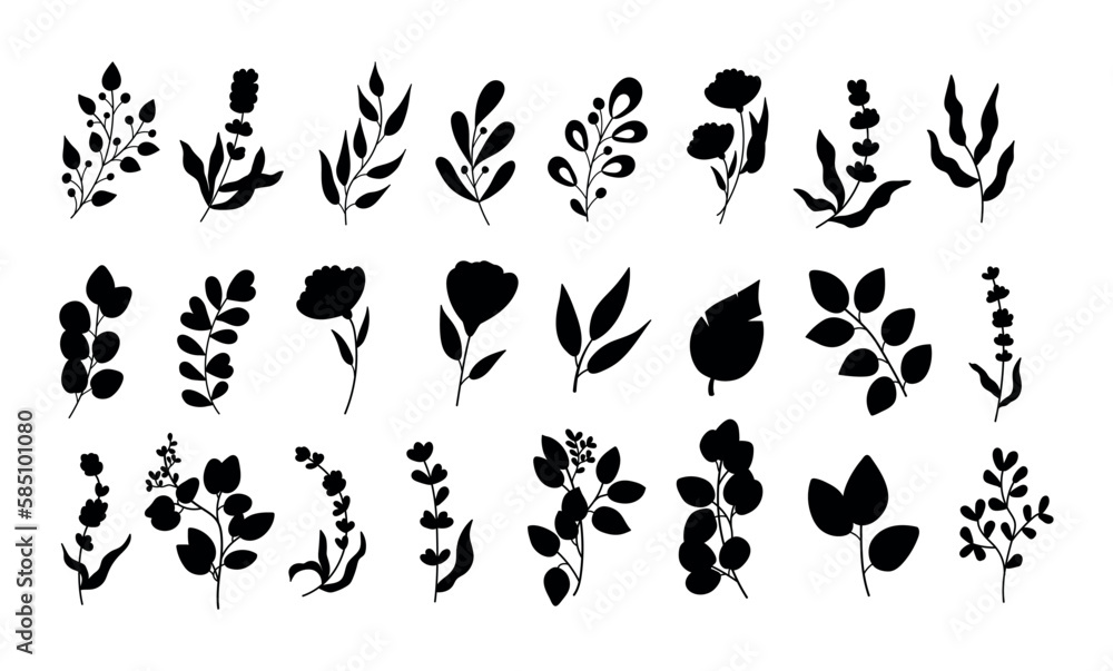 Spring herbs, black leaves silhouette, twig branches. Summer plants, eucalyptus , lavender and different berries, sprig and olive, cute flowers, palm bush. Vector illustration isolated set Spring herbs, black leaves silhouette, twig branches. Summer plants, eucalyptus , lavender and different berries, sprig and olive, cute flowers, palm bush. Vector illustration isolated set