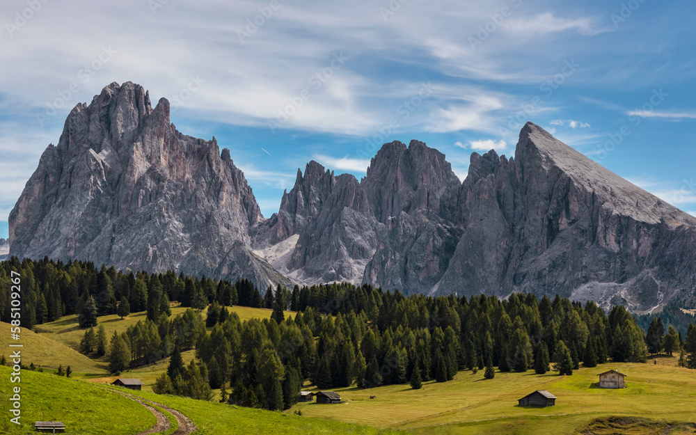 Scenic view of Sassolungo massif with Langkofel mountain from Alpe di Siusi (Seiser Alm) in italian Dolomites. South Tyrol, Dolomites, Alps, Italy.