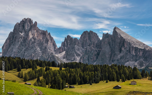 Scenic view of Sassolungo massif with Langkofel mountain from Alpe di Siusi (Seiser Alm) in italian Dolomites. South Tyrol, Dolomites, Alps, Italy.