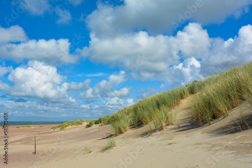 Sand dunes  beach grass and the sea