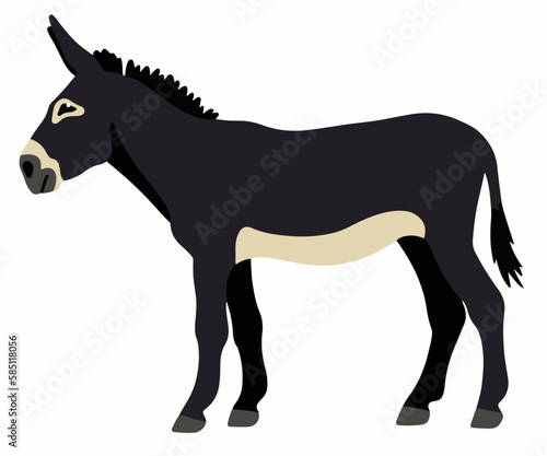 Dark donkey vector cartoon illustration isolated on white