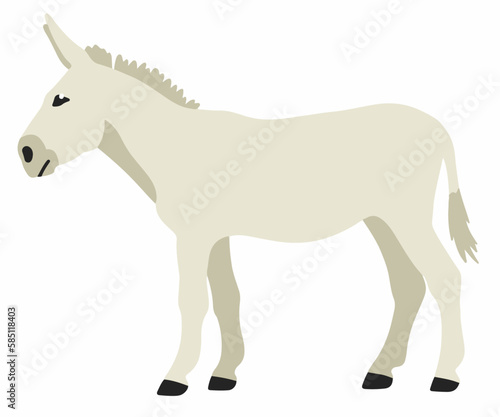 White donkey vector cartoon illustration isolated on white