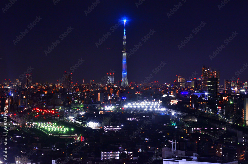 Fototapeta premium 北とぴあから見た東京スカイツリーと東京の夜景