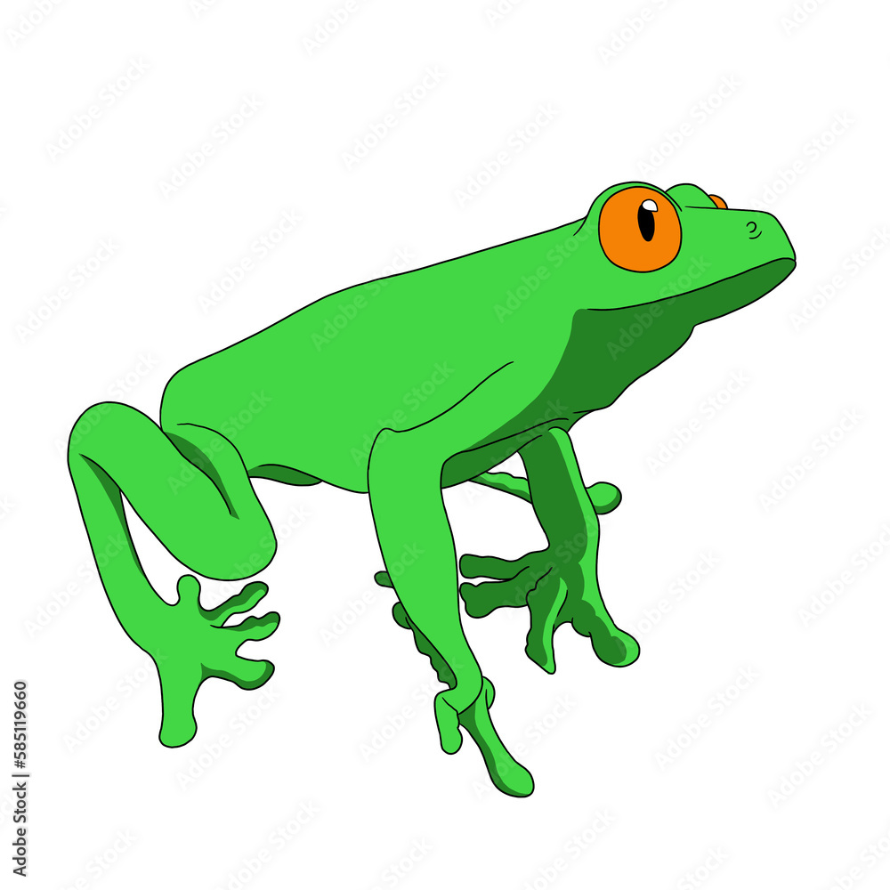 Fototapeta premium illustration of green frog
