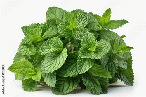 fresh mint leaves