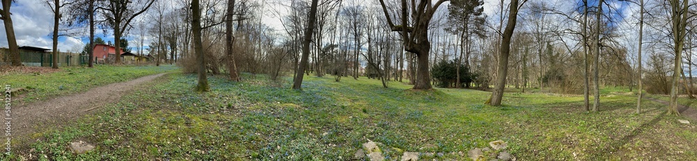 Frühling in Nordhausen - im Förstemannpark