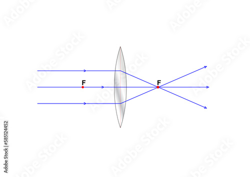 Convex Lens
