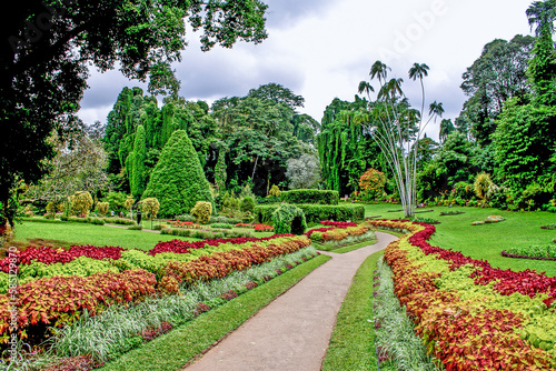 Photos botanical Garden of Peradeniya