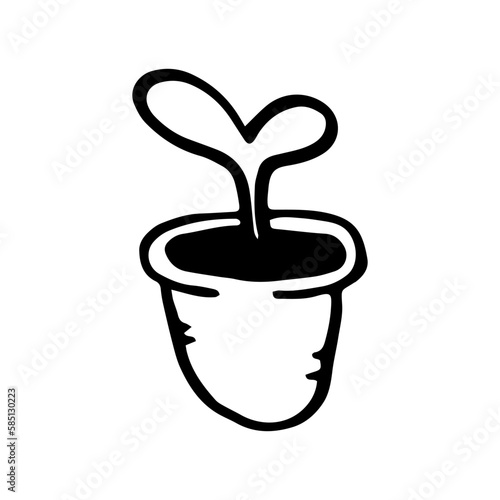 A houseplant. Seedlings in doodle style isolated on white