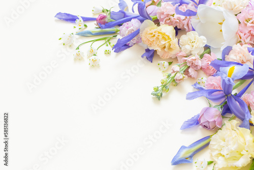 beautiful spring flowers on pastel background © Maya Kruchancova